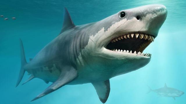 盘点史前最强大的10种生物，巨齿鲨仅排第6，沧龙力压帝鳄排第2-6.jpg