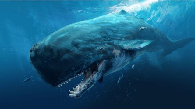 盘点史前最强大的10种生物，巨齿鲨仅排第6，沧龙力压帝鳄排第2-5.jpg