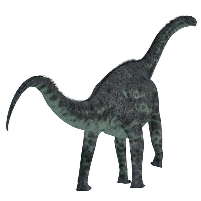 史前地球上的大型动物恐龙-3.jpg