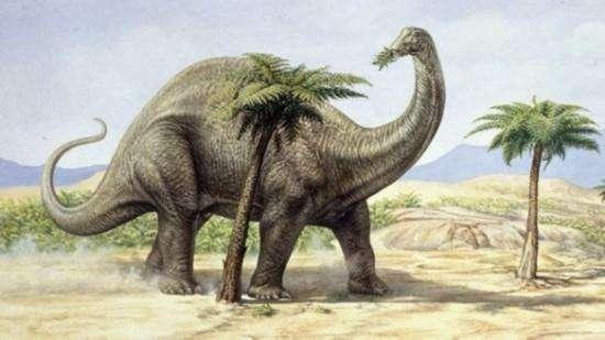 曾经统治地球的远古巨兽，盘点史前体型最大的十种恐龙-1.jpg