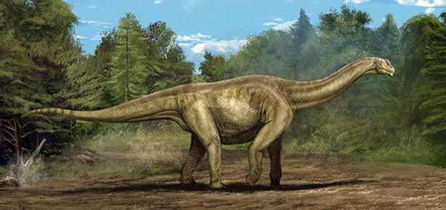 曾经统治地球的远古巨兽，盘点史前体型最大的十种恐龙-3.jpg