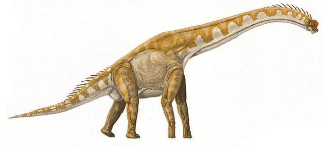 曾经统治地球的远古巨兽，盘点史前体型最大的十种恐龙-4.jpg