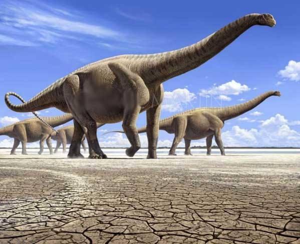 曾经统治地球的远古巨兽，盘点史前体型最大的十种恐龙-10.jpg