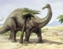 曾经统治地球的远古巨兽，盘点史前体型最大的十种恐龙