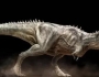 史前比霸王龙更厉害的恐龙都有哪些？那些你不了解的史前霸主