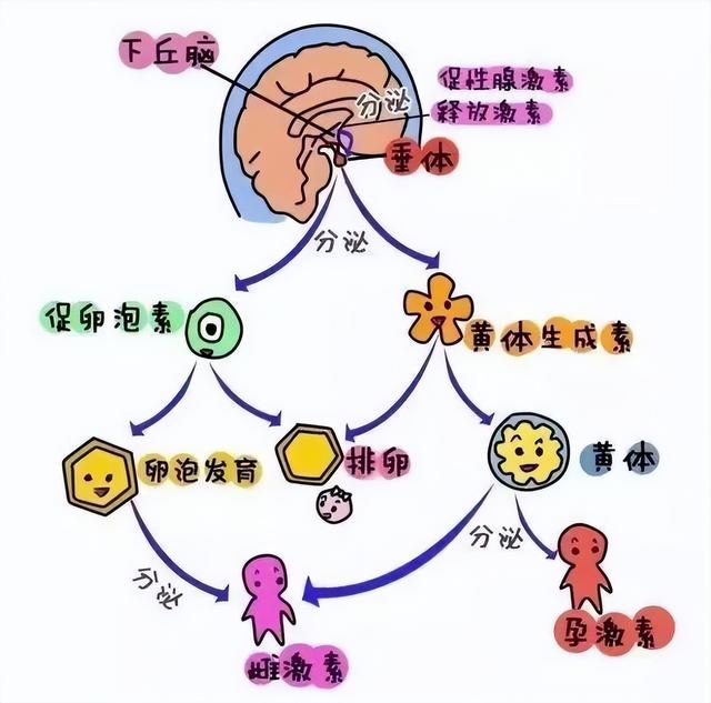 乳房整形您知道多少呢？-3.jpg