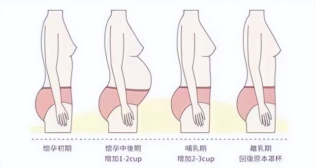 乳房整形您知道多少呢？-4.jpg