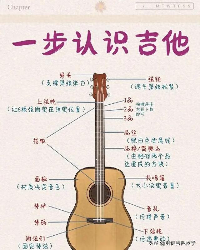吉他教学：认识吉他,吉他零基础入门教学-1.jpg