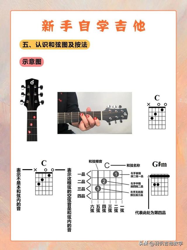吉他教学：认识吉他,吉他零基础入门教学-12.jpg